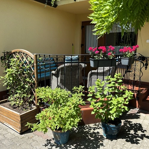 wejście apartament