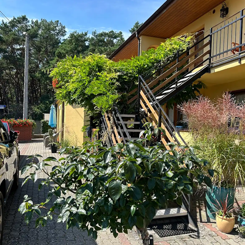 widok na schody i kwiaty